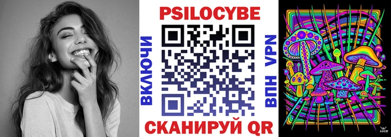 mega tor  Арзамас  Псилоцибиновые грибы Psilocybe 